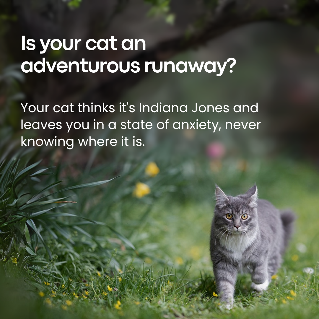 GPS Tracker for Cats No Subscription Required - Topshelf