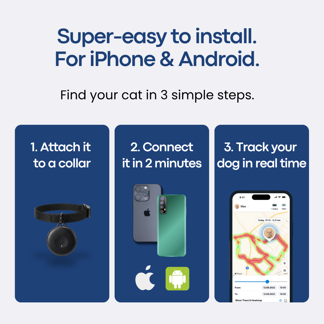 GPS Tracker for Cats No Subscription Required - Topshelf